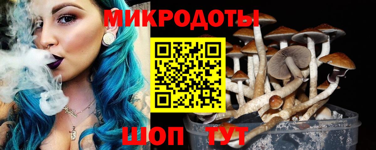 Галлюциногенные грибы прущие грибы Сатка