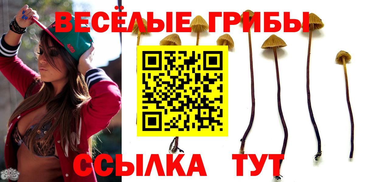 Псилоцибиновые грибы мицелий  Вход с VPN  Сатка 